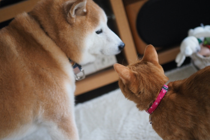 13日ブログ１