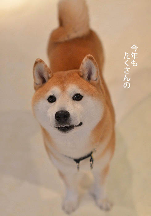31日ブログ2