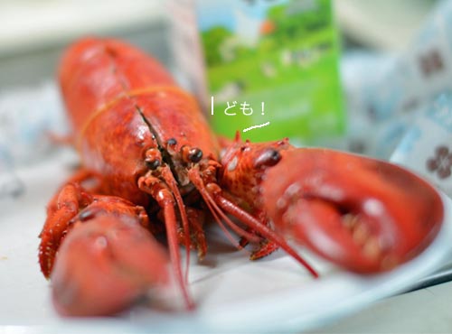 1a22日ブログ2.jpg