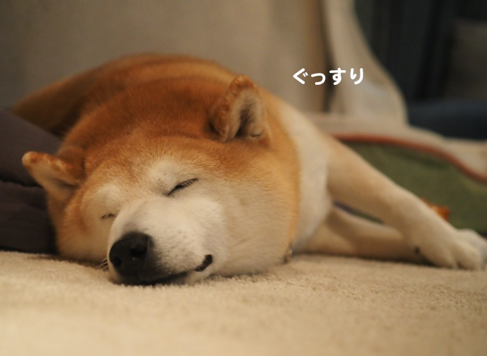 5日夕ブログ２