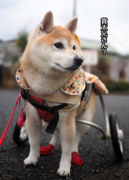 17日夕ブログ４