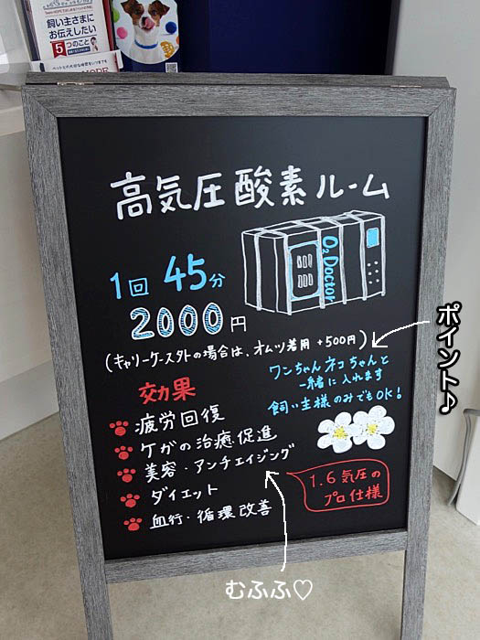 4日夜ブログ２