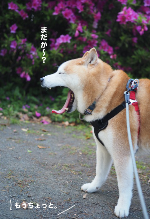 24日夕ブログ３