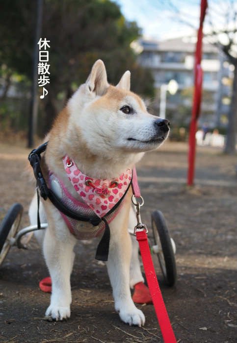 12日夜ブログ２