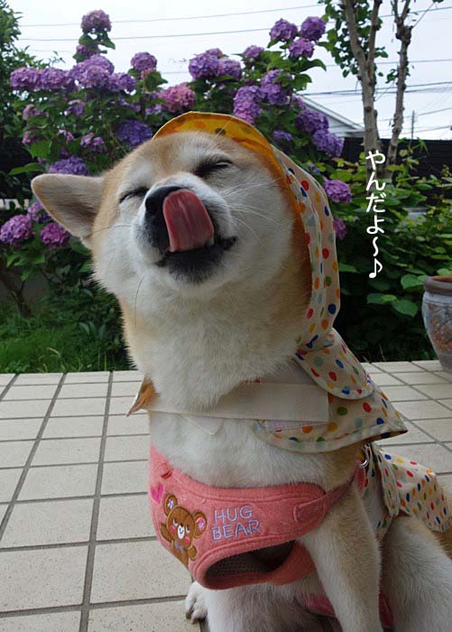 24日午後ブログ１２