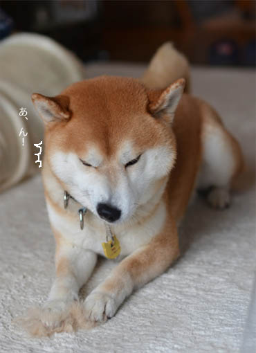 24日ブログ4.jpg
