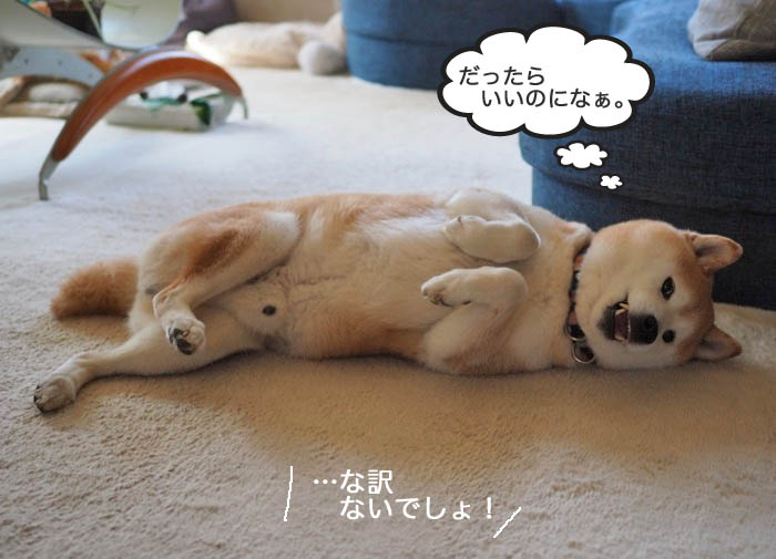 23日午前ブログ２