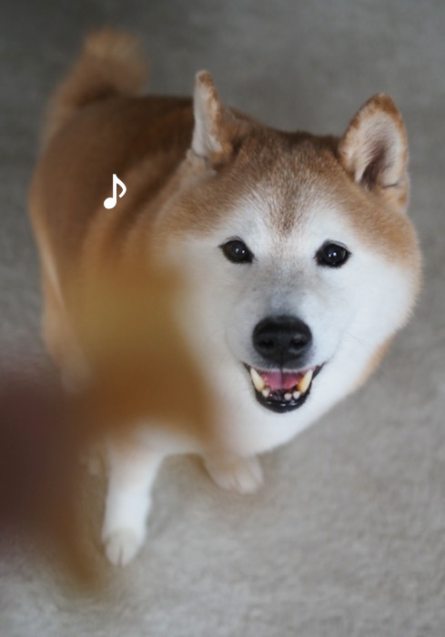 7日夕ブログ５