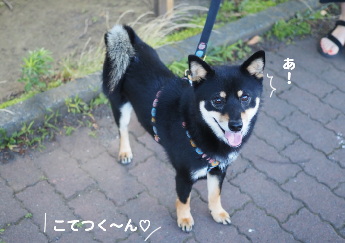 28日夜ブログ2