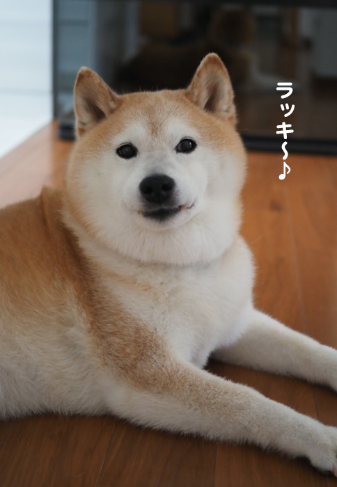 22日ブログ６