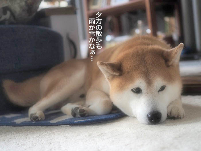 18日午後ブログ６