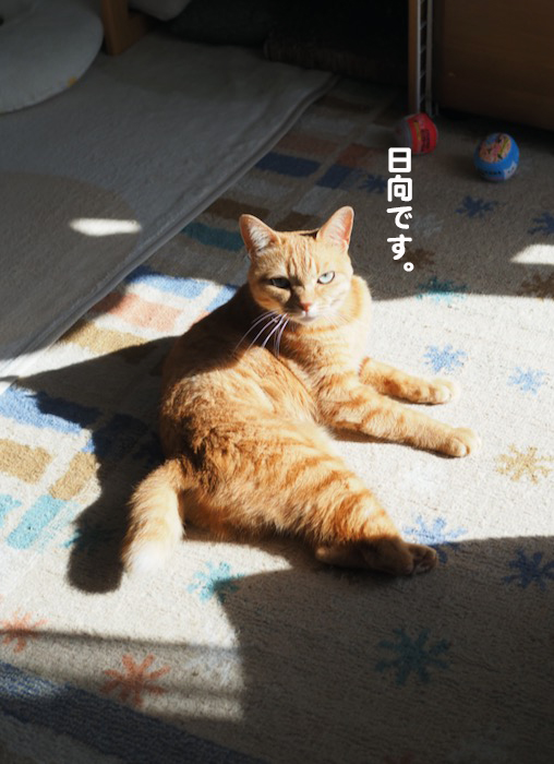 27日ブログ２