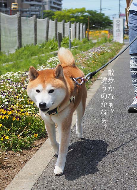 24日ブログ3