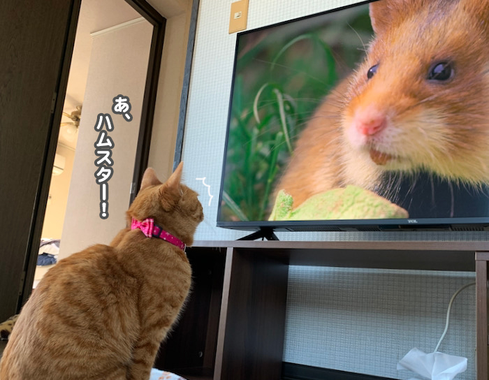 3日夕ブログ６