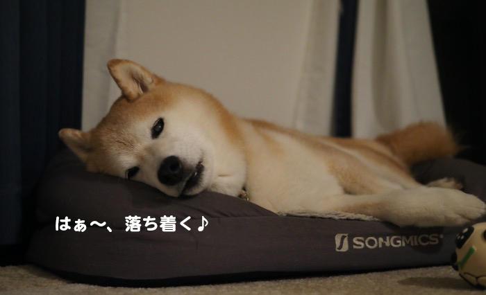 14日ブログ１