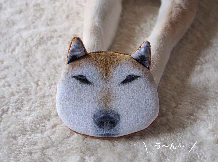 14日ブログ１