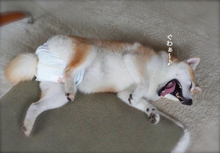 9日夜ブログ２
