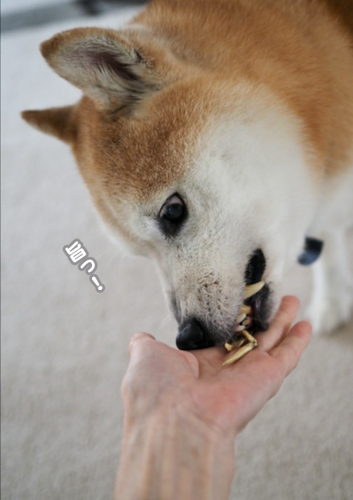 15日ブログ６