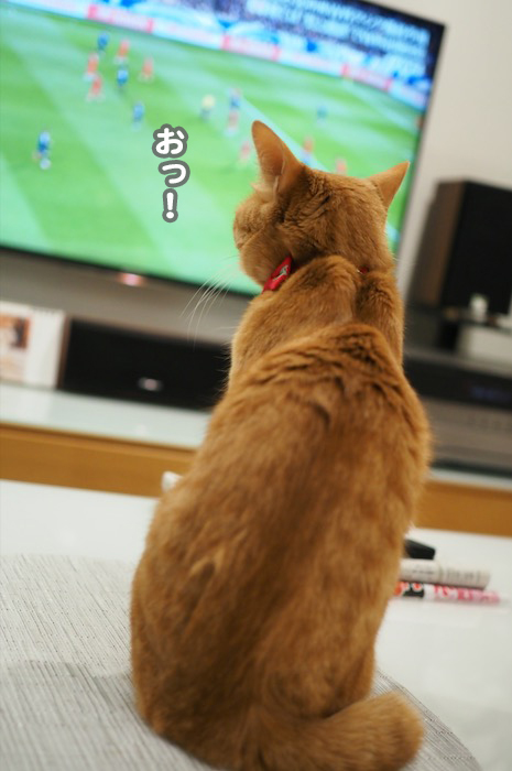 21日ブログ１