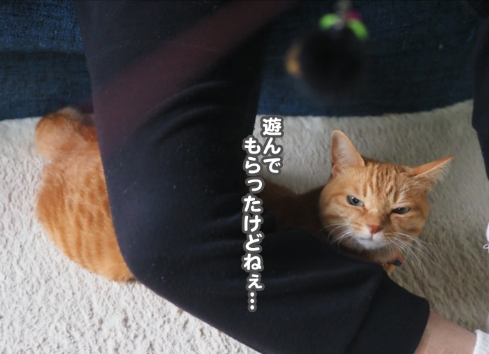 16日夕ブログ３