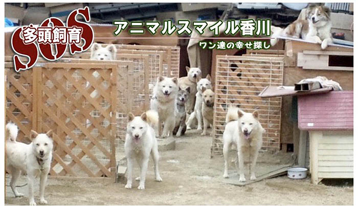 1日夜ブログ６
