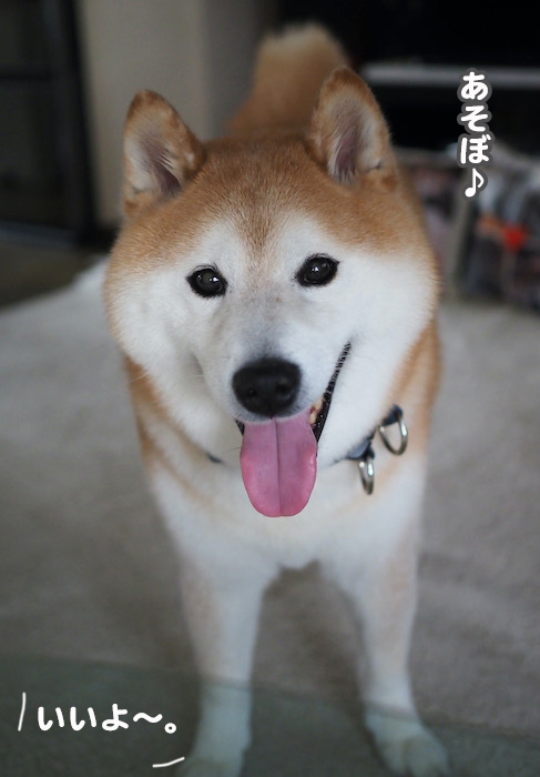 15日ブログ２