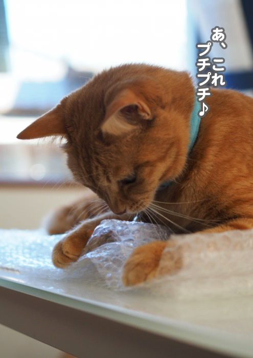 18日夕ブログ３