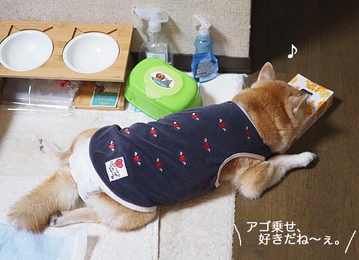 22日ブログ４
