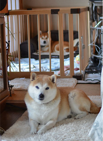 9日ブログ11.jpg