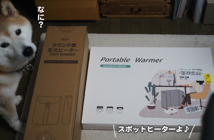 4日夕ブログ２