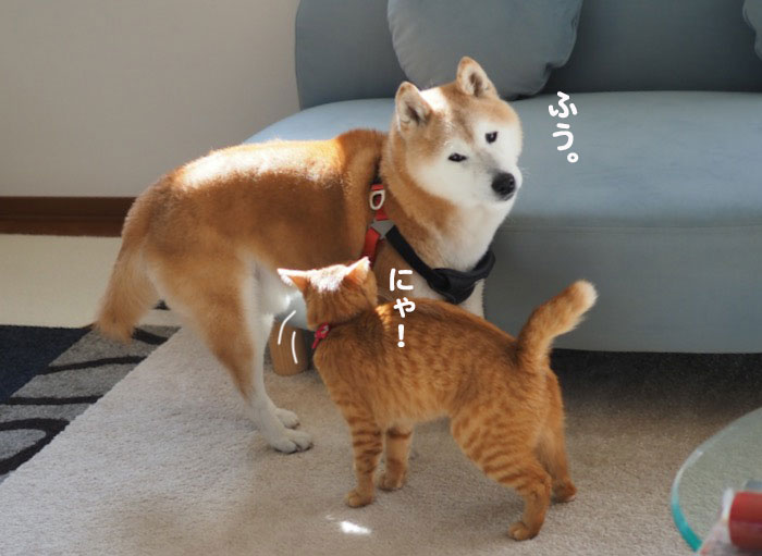 15日夕ブログ５