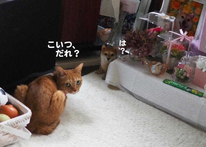 7日ブログ２