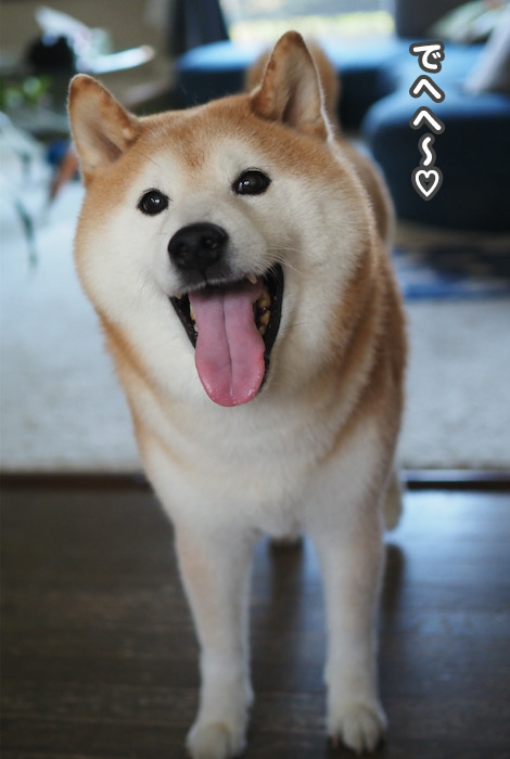 17日夕ブログ８