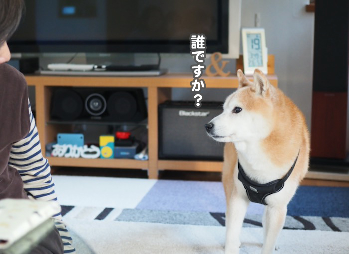 19日の夕ブログ５