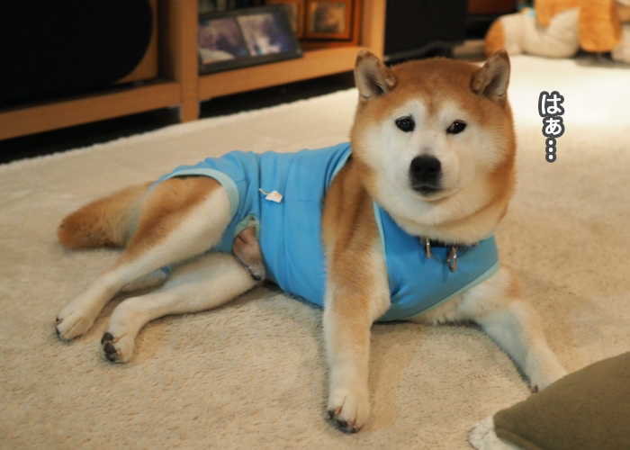 10日夜ブログ４