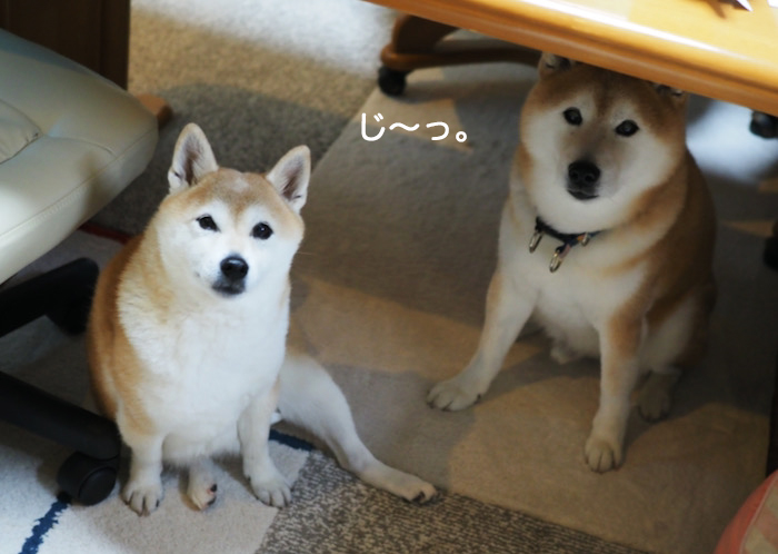 10日ブログ３