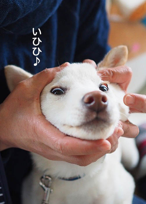 24日ブログ6