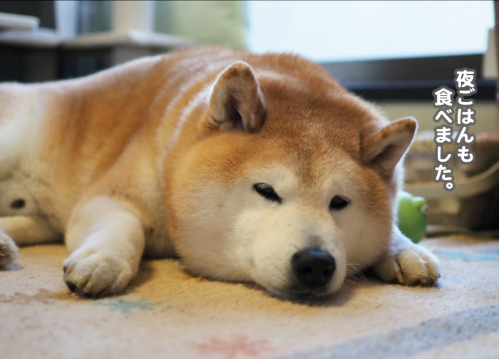 22日夕ブログ４
