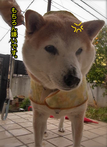 22日ブログ3.jpg