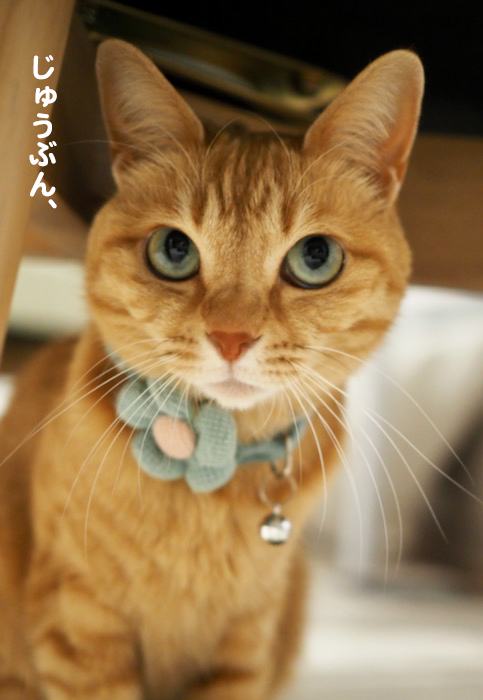 14日ブログ２