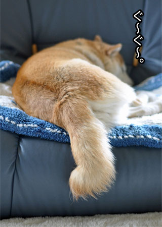 5日ブログ７.jpg