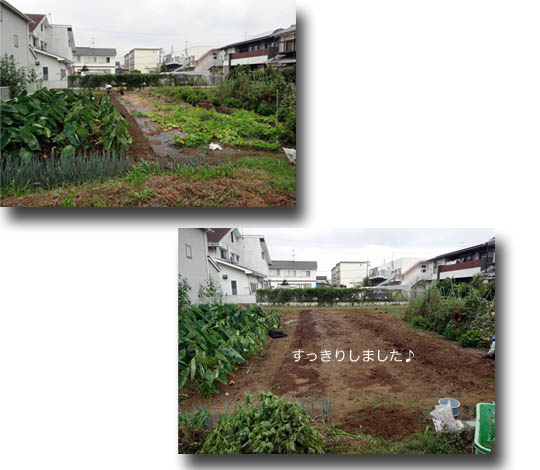 25日ブログ2.jpg
