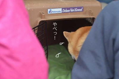 22日ブログ７