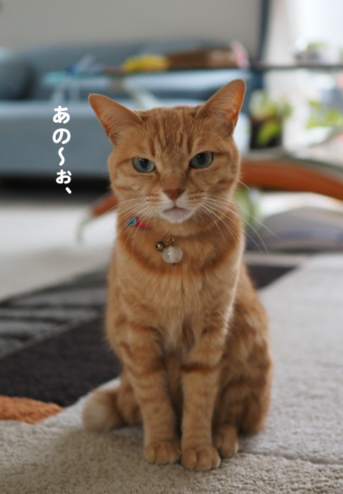 6日夕ブログ２
