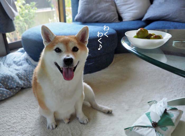 3日夜ブログ２