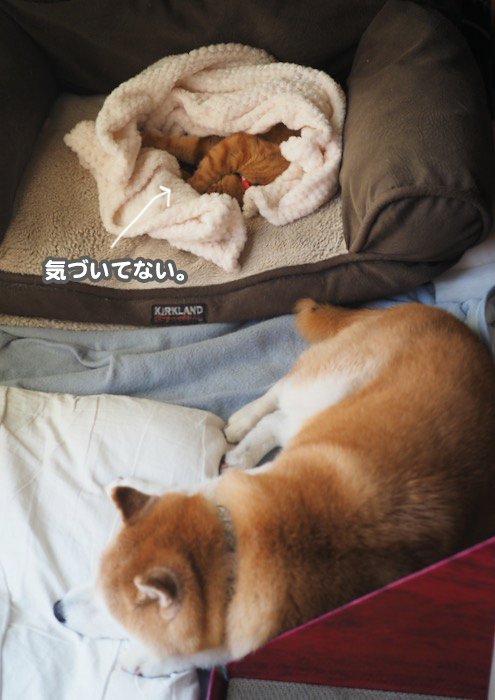 22日ブログ３