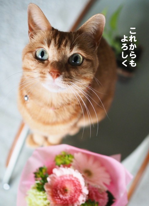 14日ブログ４