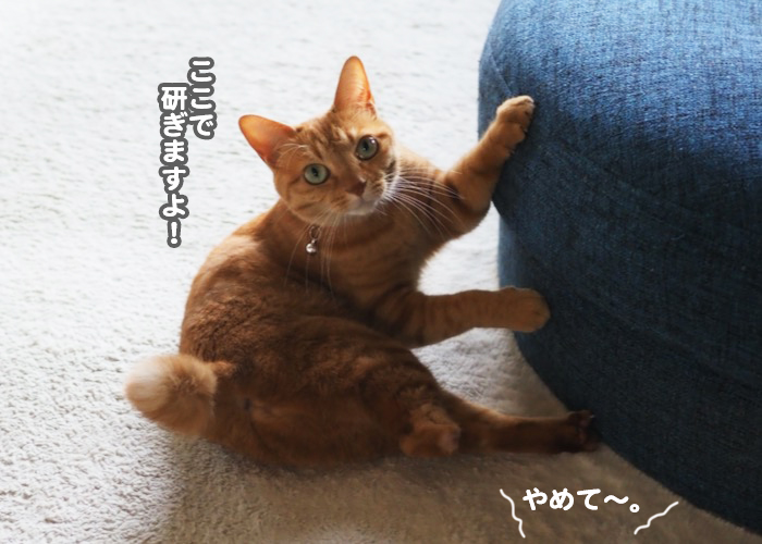 16日夕ブログ２