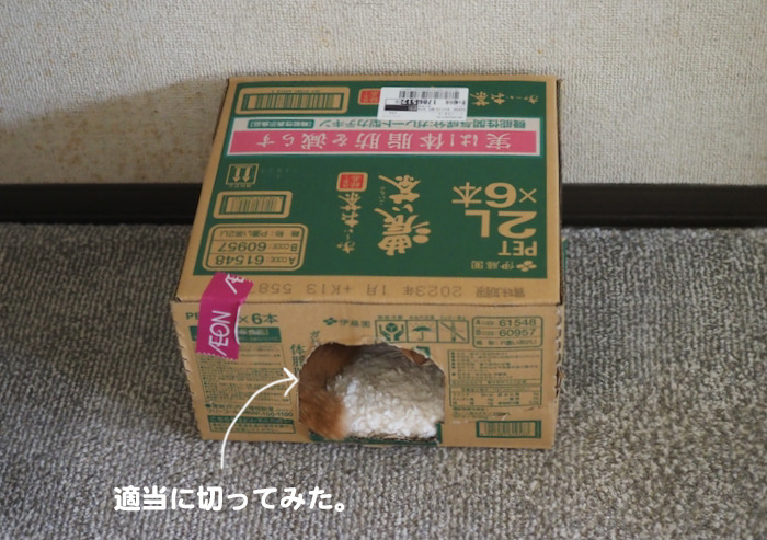 4日夕ブログ２