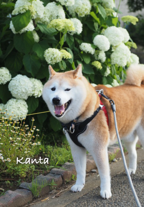 1日朝ブログ２